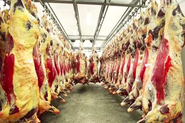 INS: Sacrificările și producția de carne în luna martie 2023