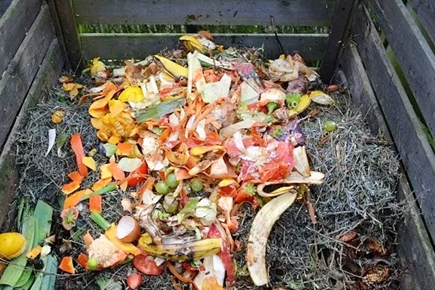 Impactul deșeurilor alimentare provenite de la hipermarket-uri asupra mediului