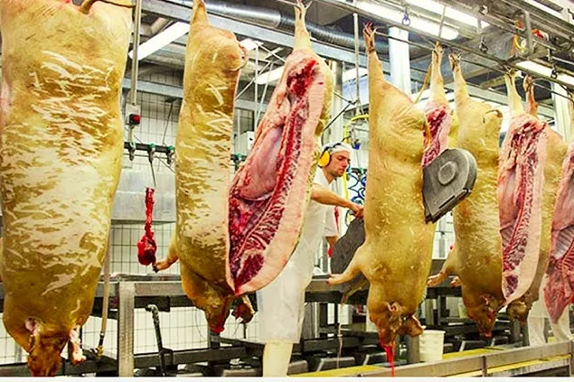 INS: Sacrificările de animale și păsări și producția de carne