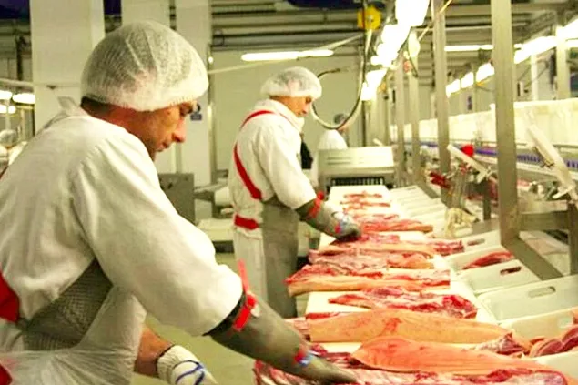 Consiliul Concurenței a aprobat preluarea firmei Goodies Meat de către Elit
