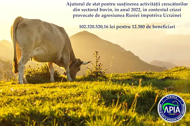 102,32 milioane lei pentru susținerea activității crescătorilor din sectorul bovin