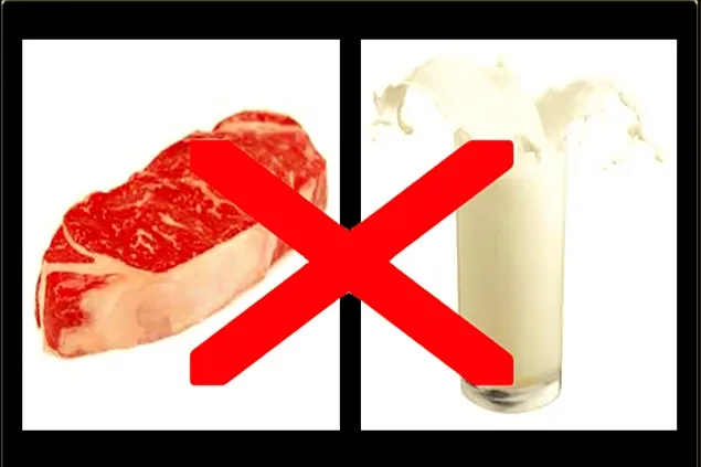 Mulți europeni se pronunță pentru limitarea consumul de carne și produse lactate