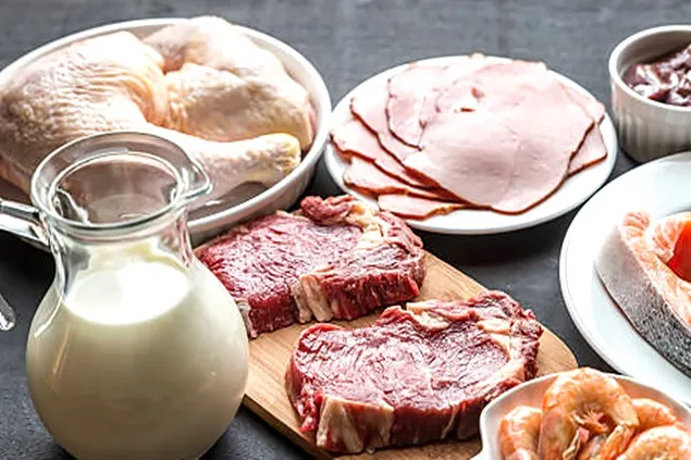 Top-ul vizibilității în online a mărcilor de lactate și carne pentru luna martie 2023