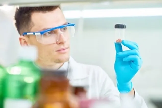 Cercetare: Carnea de cultură emite cu 25% mai mult CO2e decât carnea de vită convențională