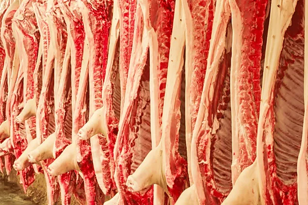 Continuă scăderea producției de carne de porc