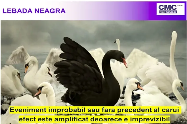 CMC Grup Broker de Asigurare a devenit Partener al conferinței Meat.Milk 2023
