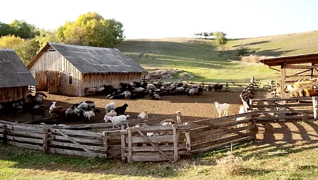 Transformarea agriculturii Statelor Unite în secolul XX