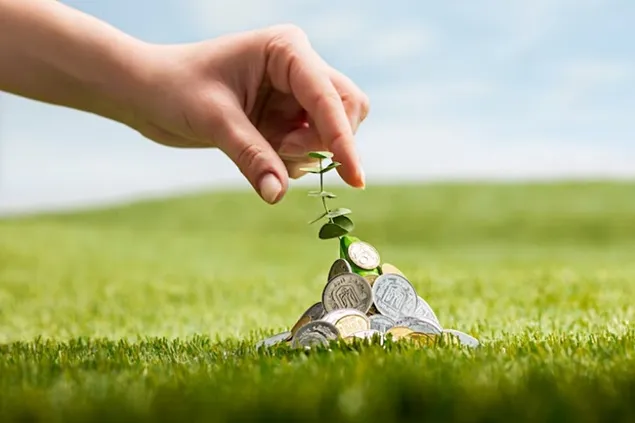 AFIR: C.E. a rambursat României peste 202 milioane de euro ca plăți finanțate prin FEADR