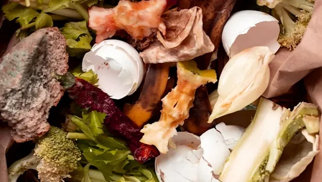 Relația dintre risipa alimentară și emisiile de carbon