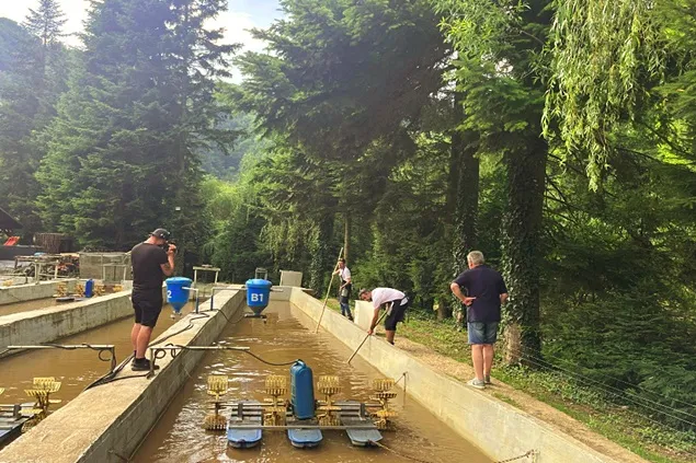 Producătorii de pe Via Profi participă la primul reality show în social media din România