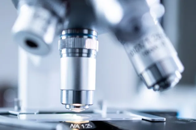 Organizația Mondială a Fermierilor respinge ferm alimentele pe bază de proteine cultivate în laborator