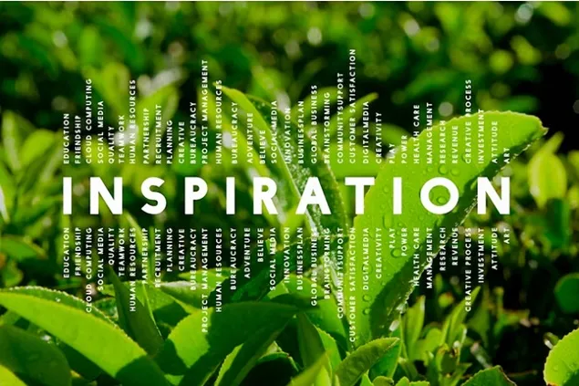 Danone își intensifică programele de agricultură regenerativă derulate cu fermierii de lapte