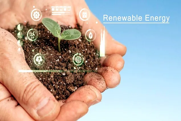 Energie verde pentru agroindustria românească