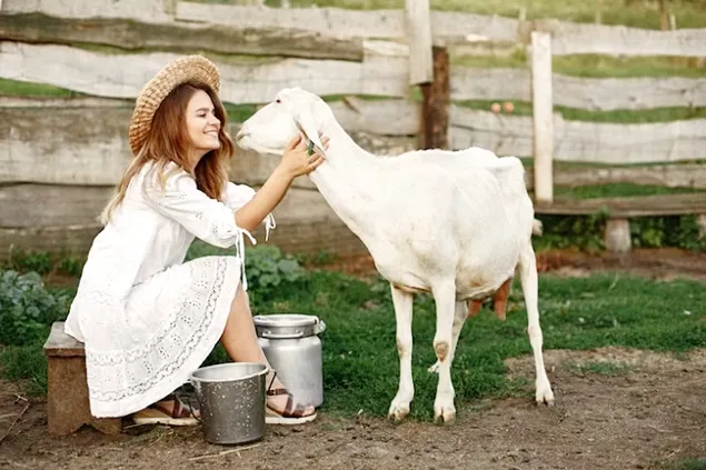 Informații utile pentru beneficiarii ajutoarelor pentru instalarea tinerilor fermieri