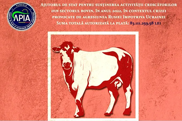 Sprijin în valoare de 83,11 milioane lei pentru susținerea activității crescătorilor din sectorul bovin