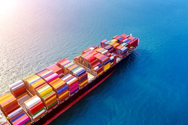 INS: Importul de alimente și animale vii al României a crescut cu 15 %