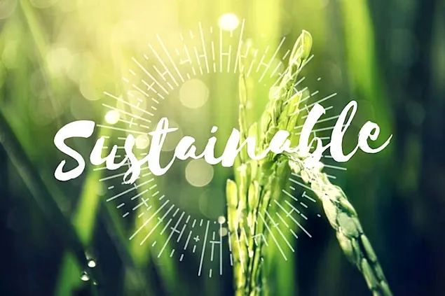 Global Top 10 Producători de alimente durabile