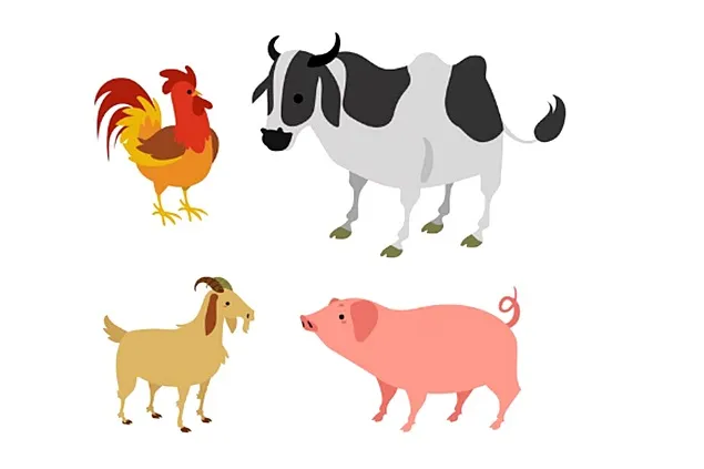 Eurobarometrul arată cât de importantă este bunăstarea animalelor pentru europeni