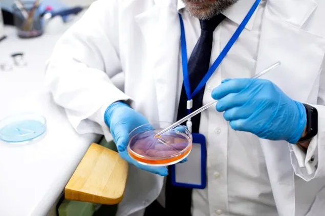 Austria, Franța și Italia conduc acțiunile împotriva cărnii cultivate în laborator