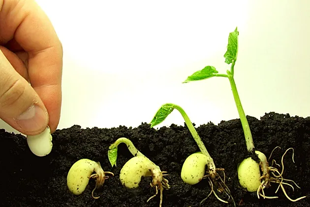 Perspectivele agriculturii europene rămân incerte
