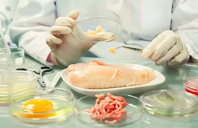 EFSA a inițiat campania „Safe2Eat” 2024