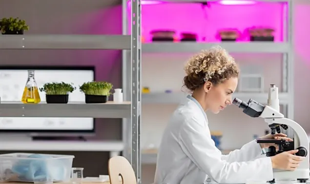 Tranziția alimentelor fermentate de la laborator la fabrică și pe raftul magazinului