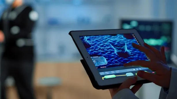 Tehnologiile digitale în procesarea cărnii: investiții și randamente