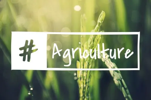 Instrumente economice și normative pentru politica agricolă post‑2025: o abordare integrativă