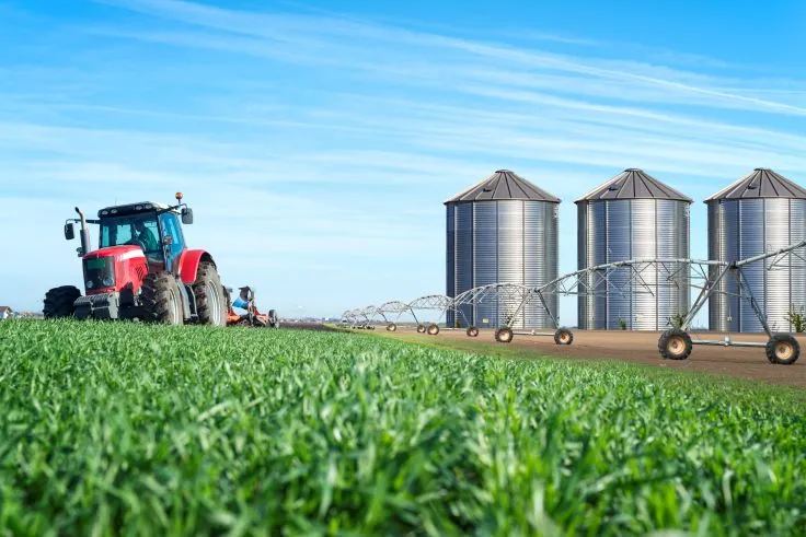 Guvernul, în dialog cu marii producători și procesatori din agricultură