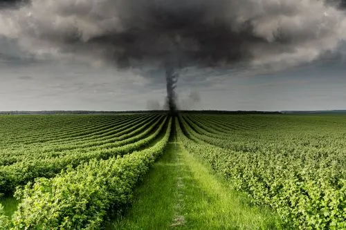 Schimbările climatice și agricultura globală: impact asupra securității alimentare