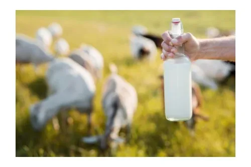 Standardele UE pentru laptele crud în 2025: cerințe microbiologice și impactul asupra fermelor mici