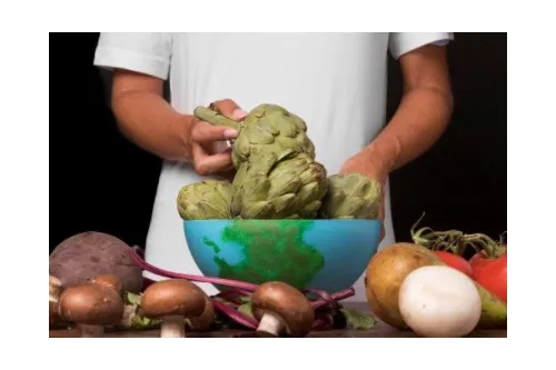 Reziliența agroalimentară – cum se construiește securitatea alimentară în Europa post-criză