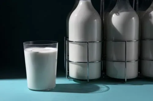 Laptele și consumul intern în 2025–2026: semnale economice pentru procesatori