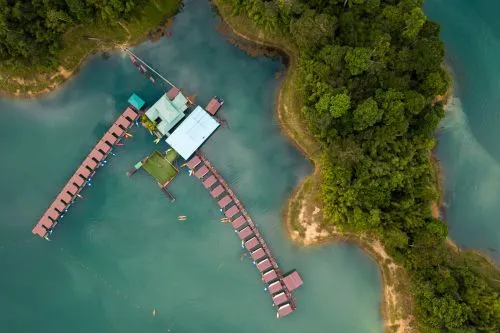 Consumul intern de pește, estimat de INS la aproximativ 8–9 kg/locuitor/an, rămâne sub media Uniunii Europene, care depășește 20 kg/locuitor/an potrivit Eurostat.