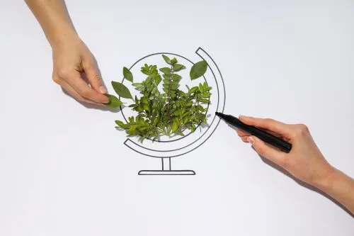 Discuțiile s-au concentrat pe trei direcții principale: integrarea tehnologiilor digitale în lanțurile agroalimentare...