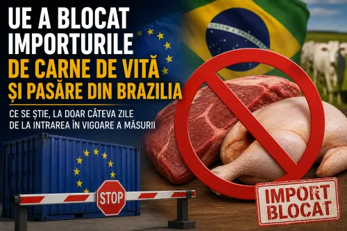 De joi, 3 septembrie 2026, Brazilia nu mai poate exporta carne de vită și carne de pasăre către Uniunea Europeană.